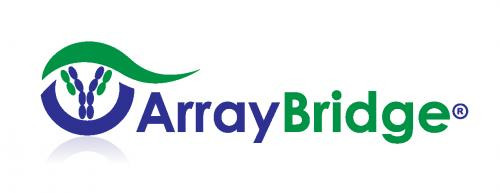 ArrayBridge logo